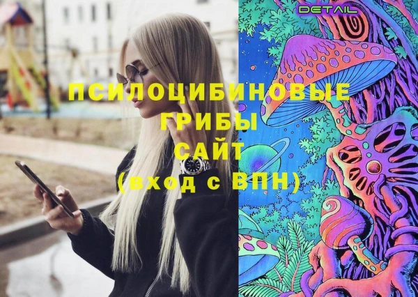 2c-b Алексин