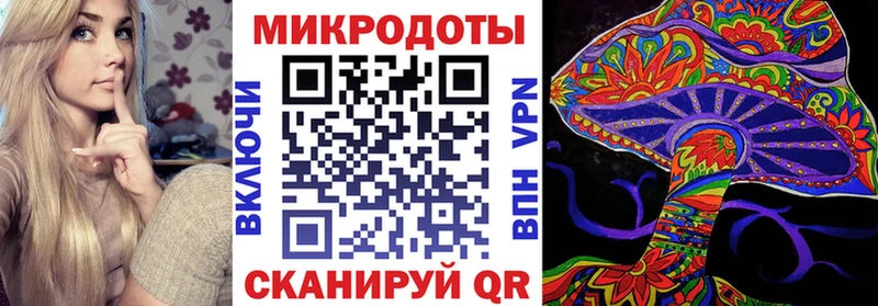 Галлюциногенные грибы Psilocybe  Лодейное Поле 
