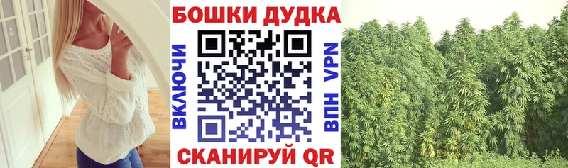 Конопля марихуана  Лодейное Поле 